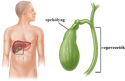 EPE / EPEHÓLYAG időszaka - MÁJUS